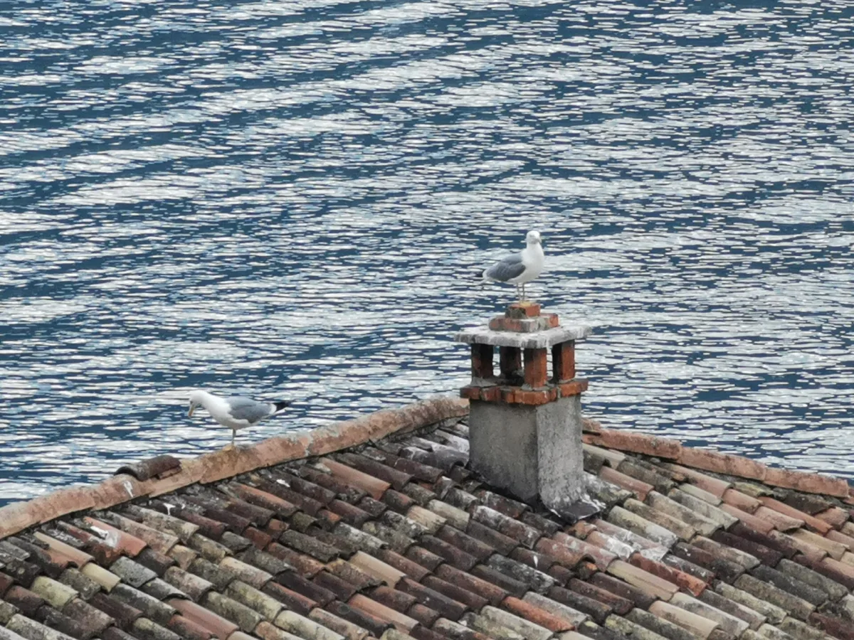Dove mangiare a Limone sul Garda spendendo poco: guida 2026